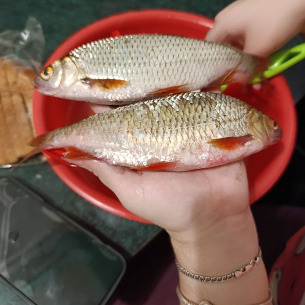 не вкурсі(