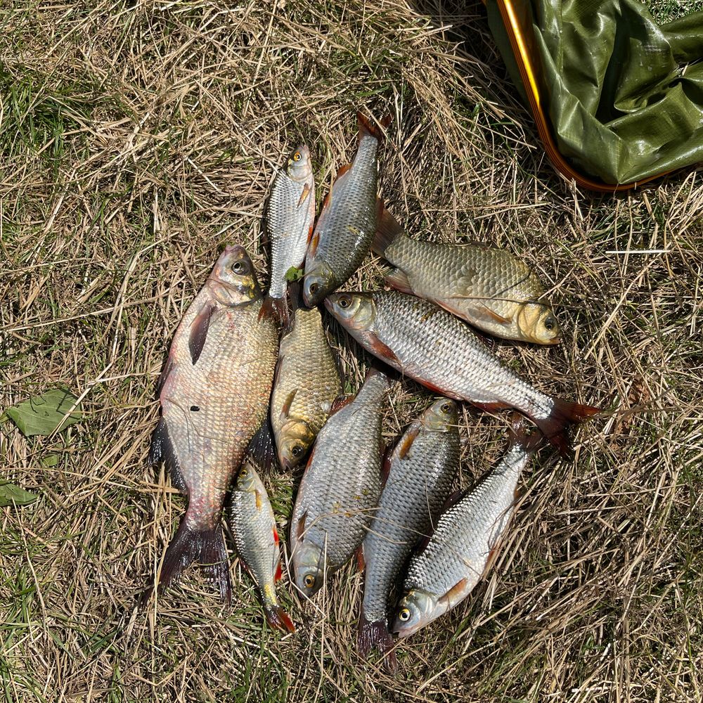 Карачунівське водосховище 