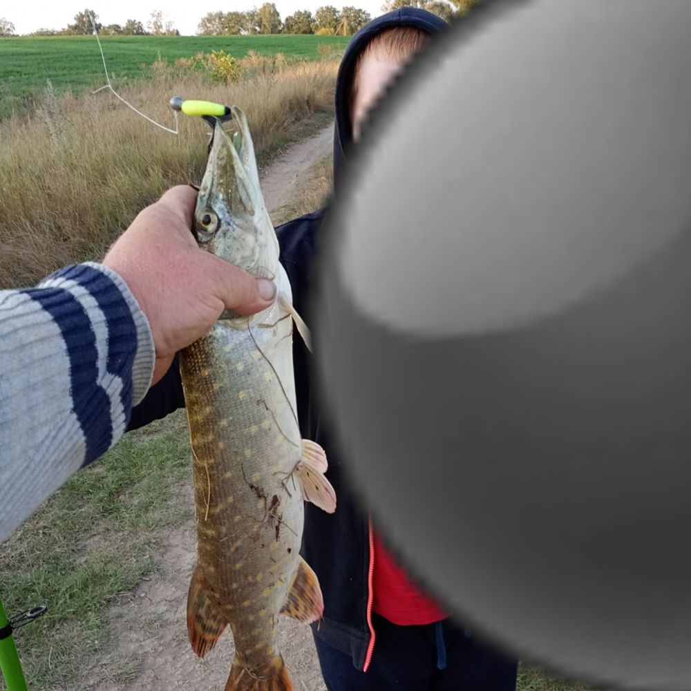 незнаю