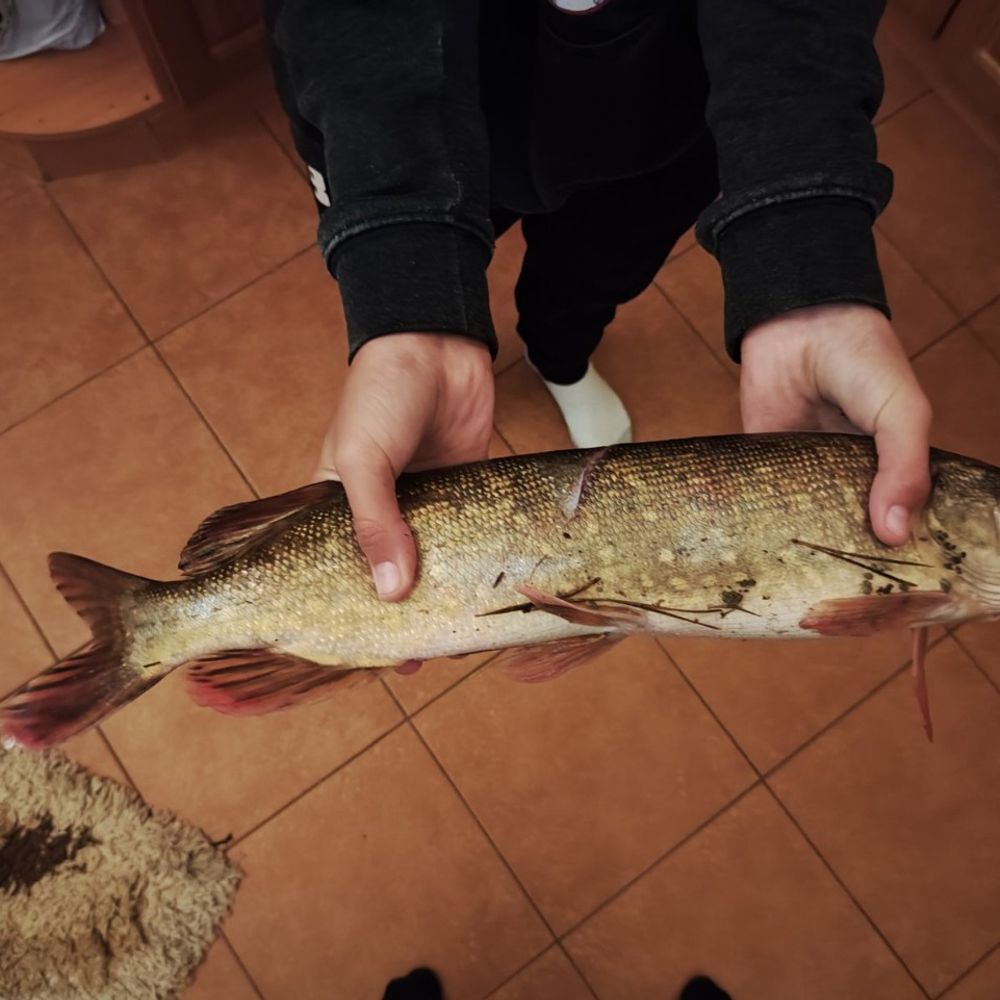 річка рось
