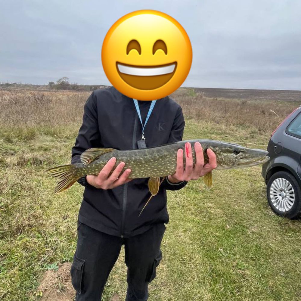 Стир