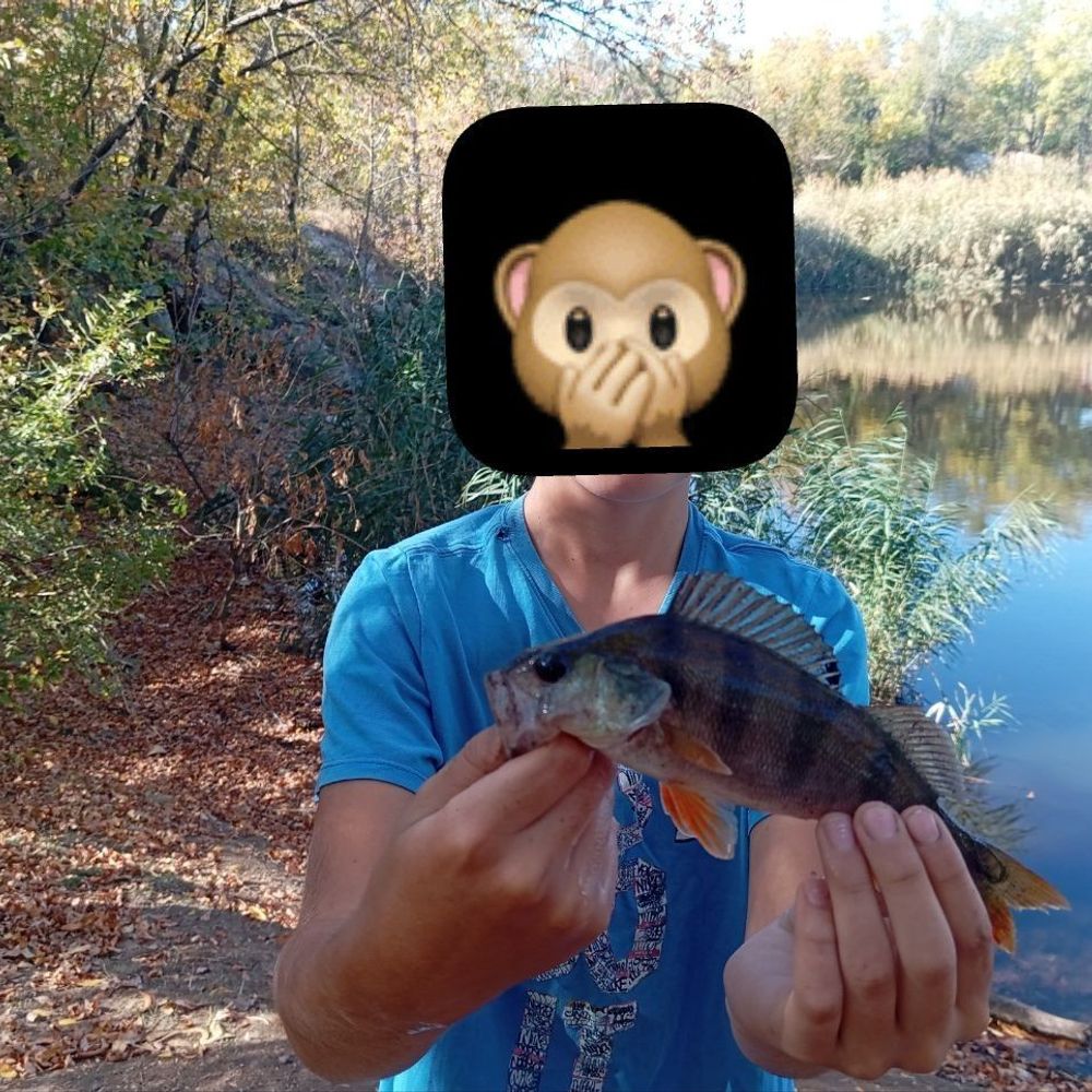 балка