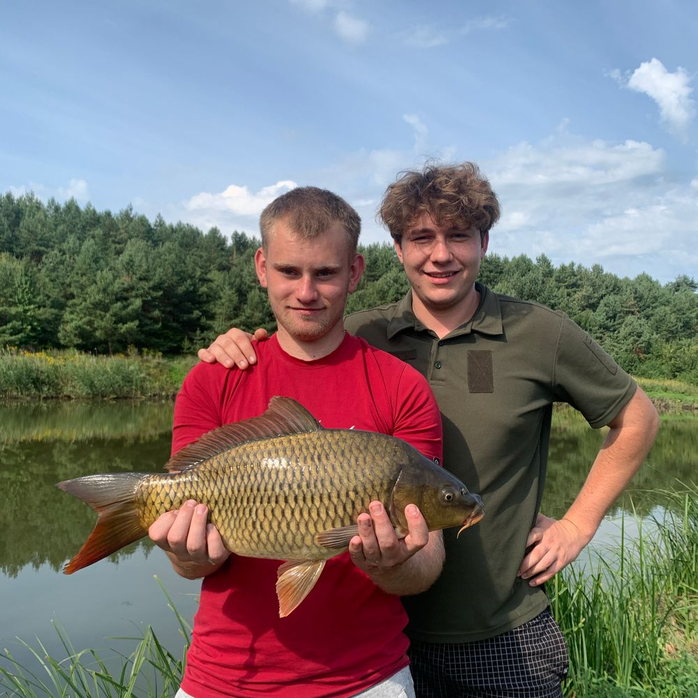 Штучні ставки