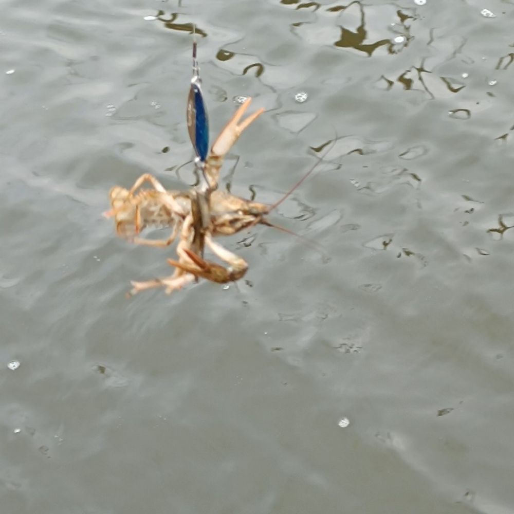 Водосховище