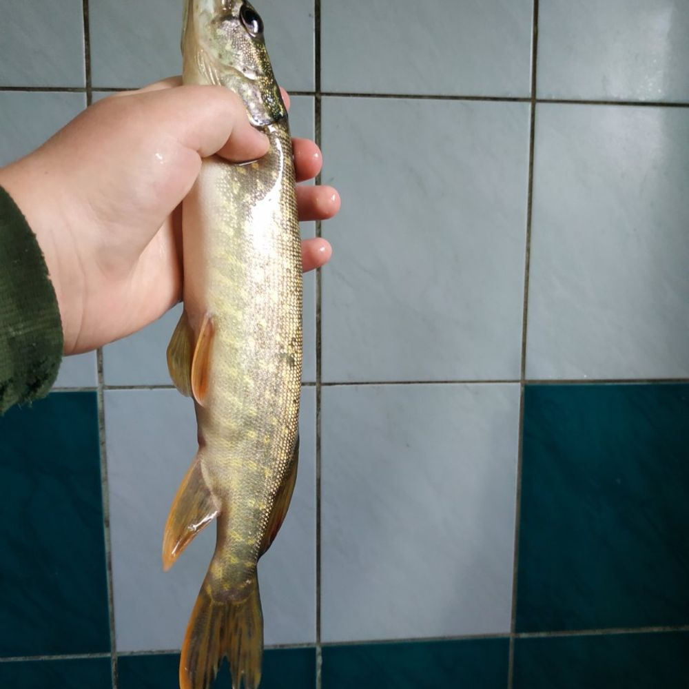 ТУРІЯ 