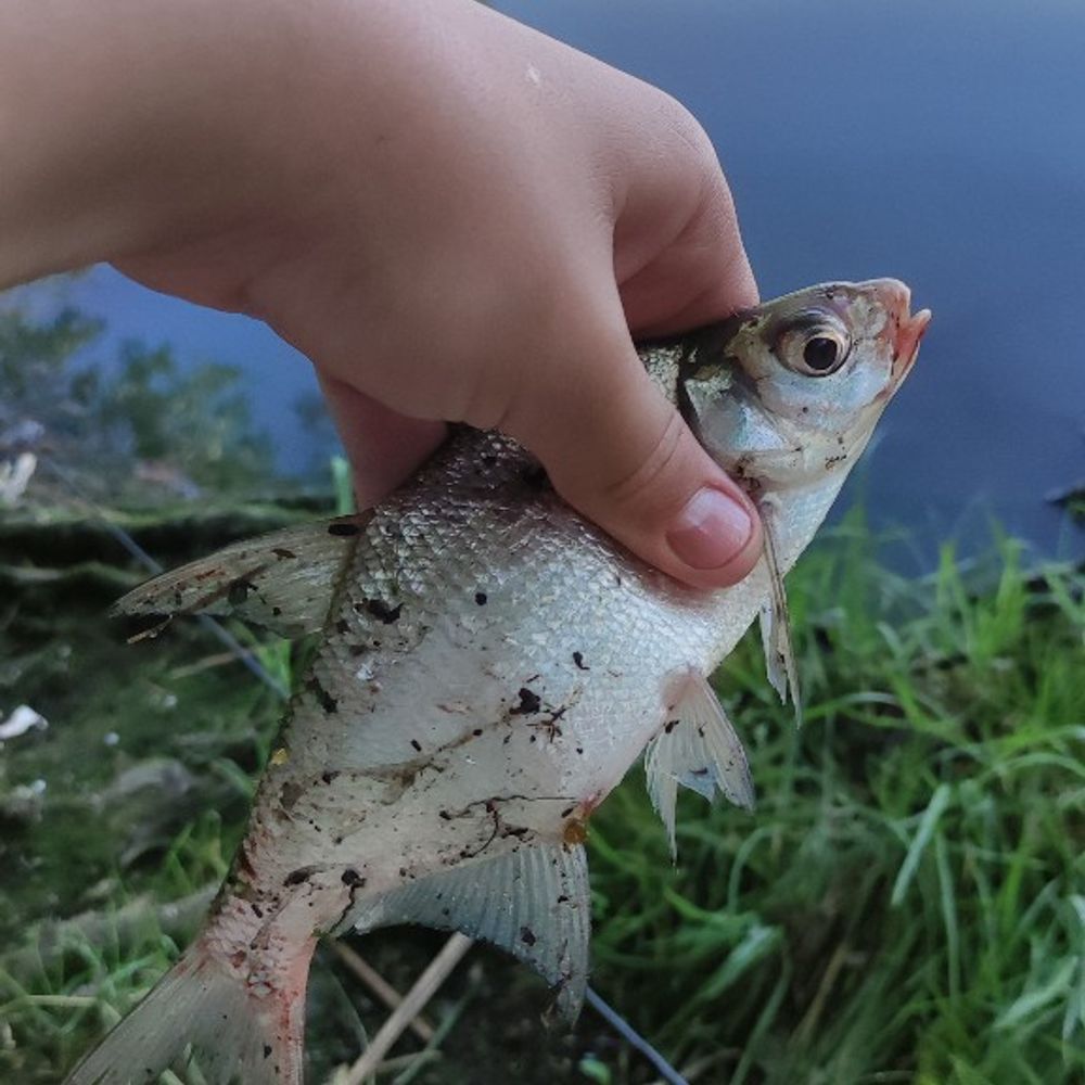 Водосховище Матюші