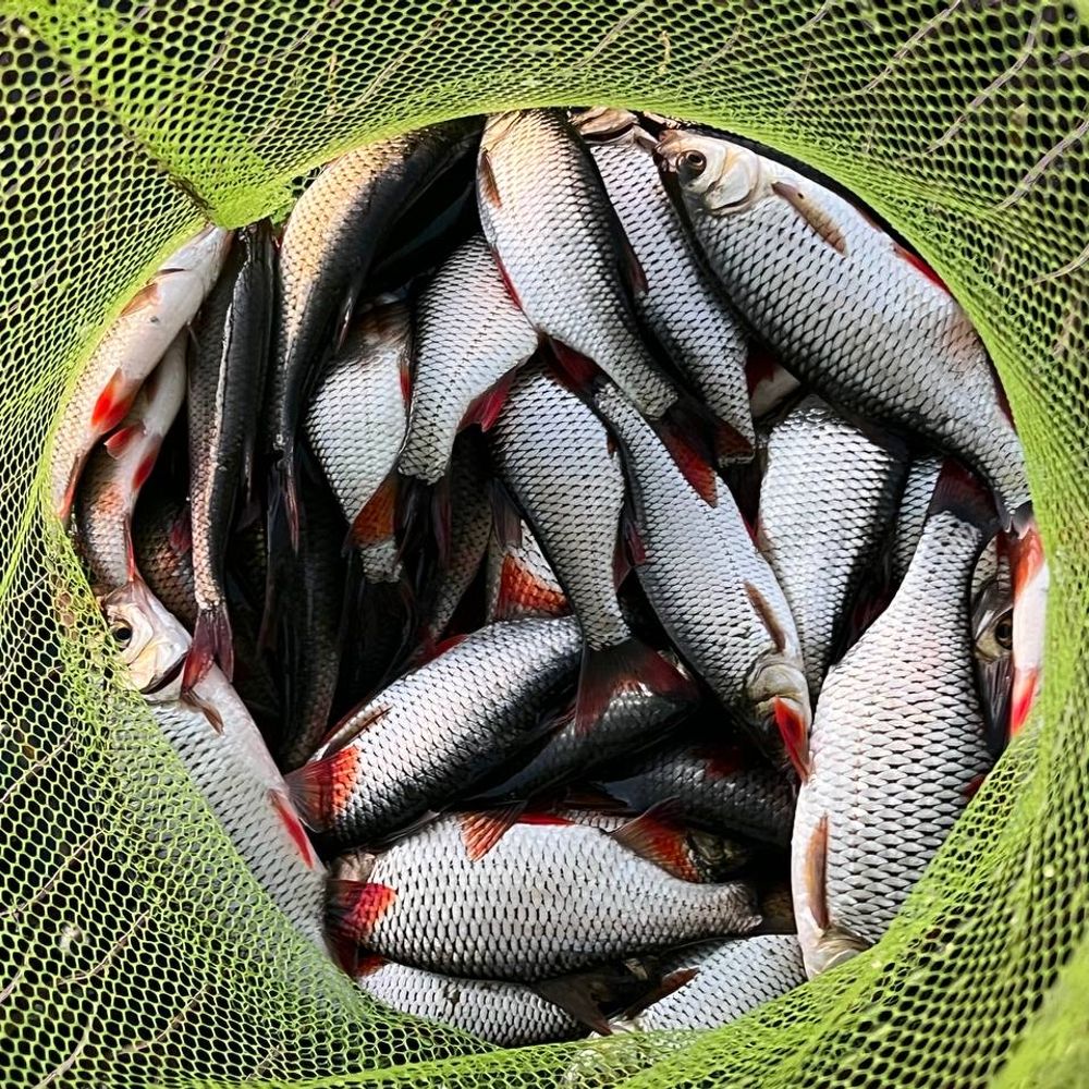 Брштинське море