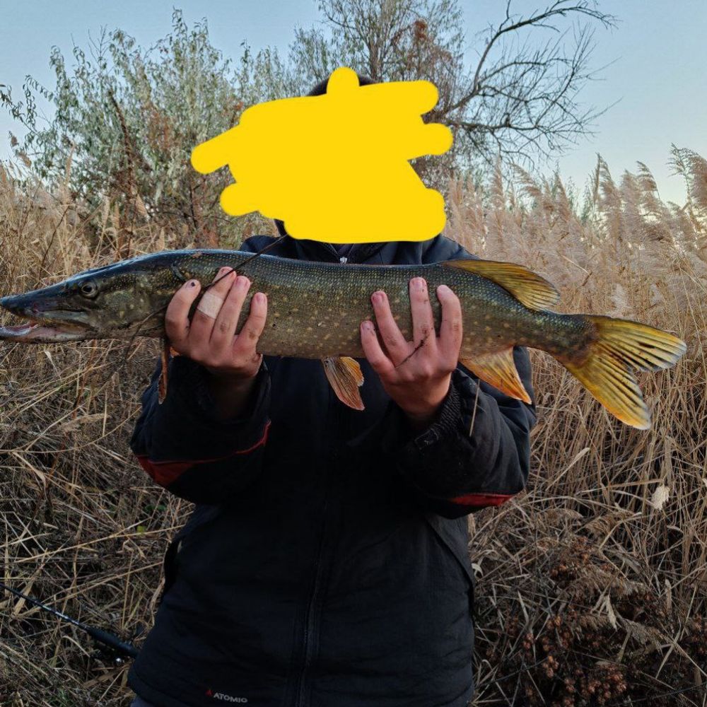 Щука 2,200 на каналі 
