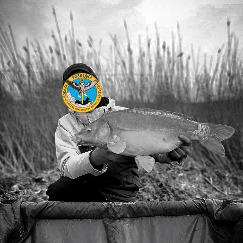 Paikodrom