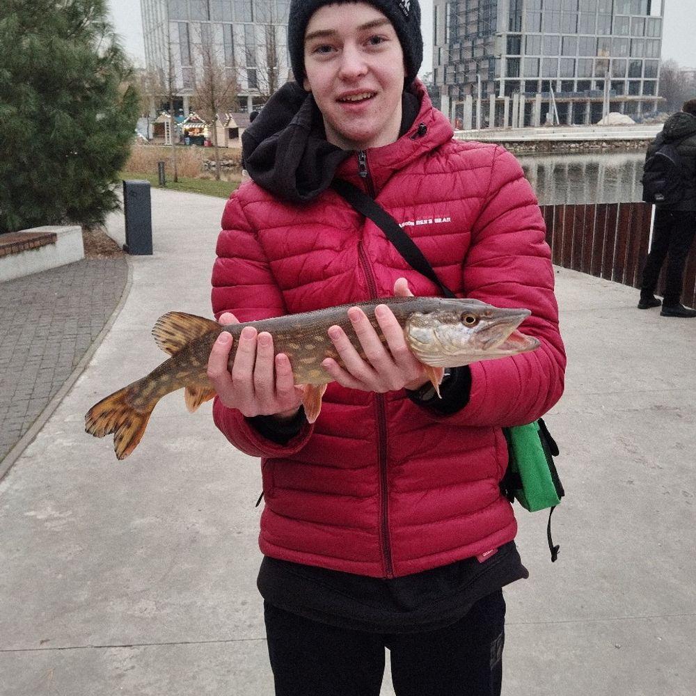 щука👍