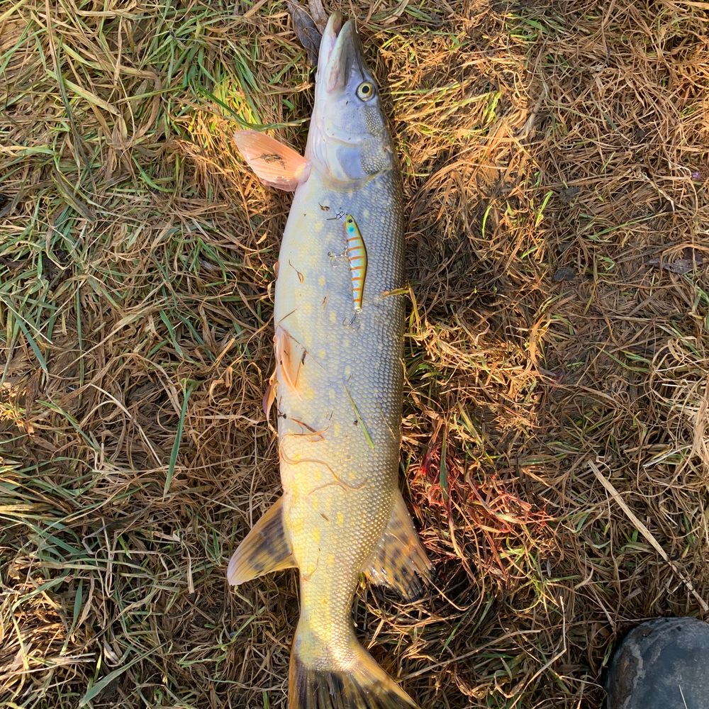 aquamarinfishingclub