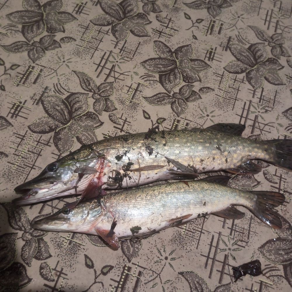 Хріники водосховище