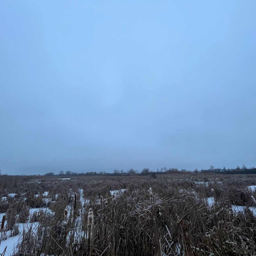 Річка Случ