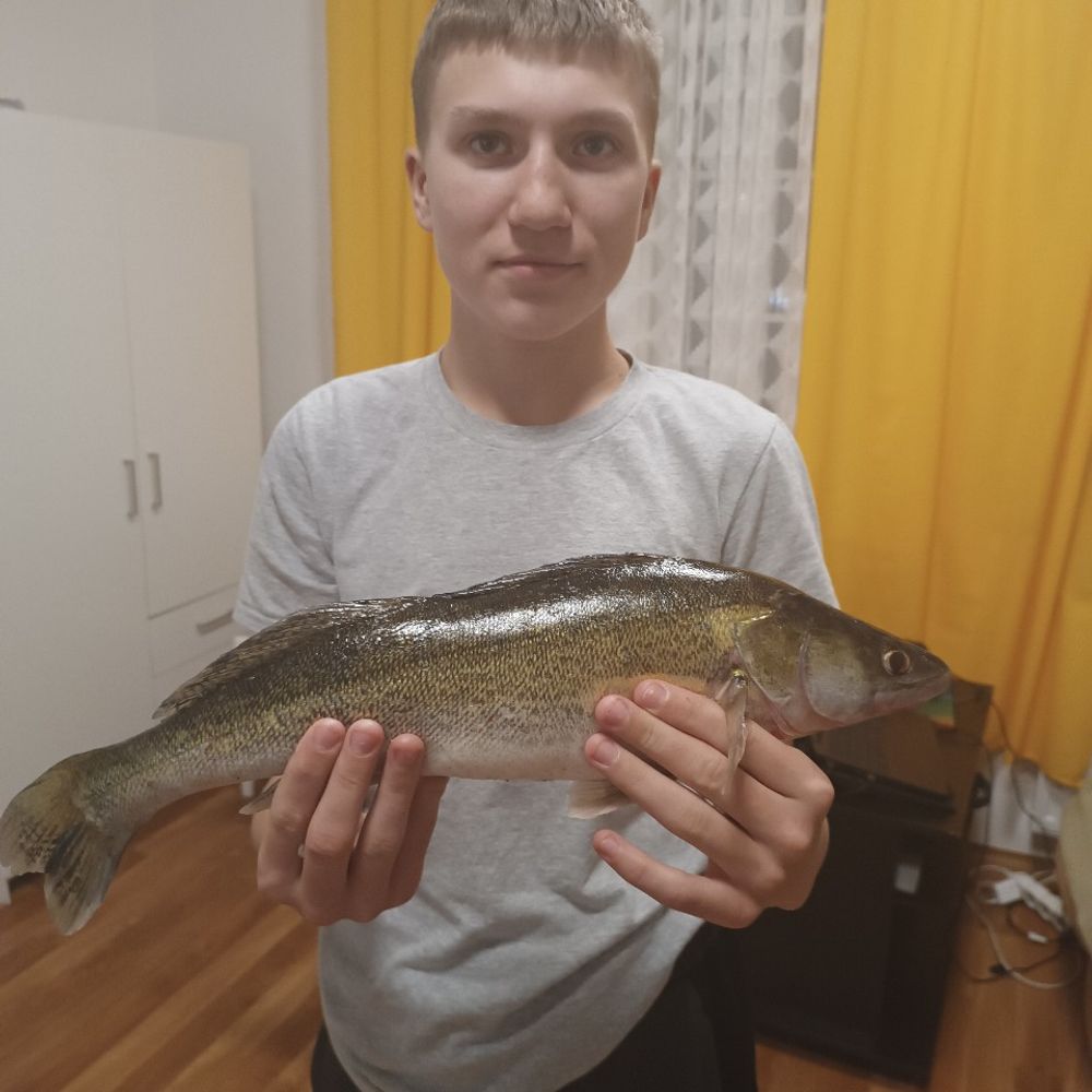 р.замчисько