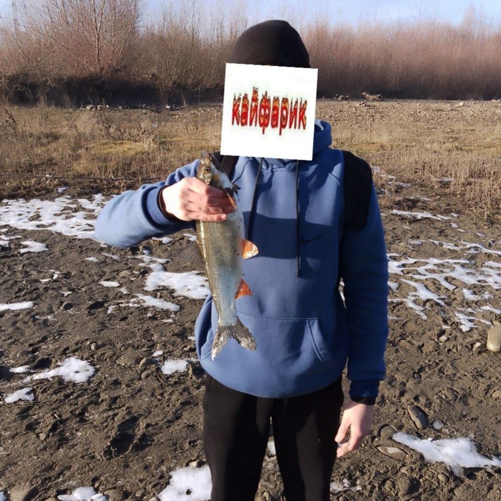 р бистриця 