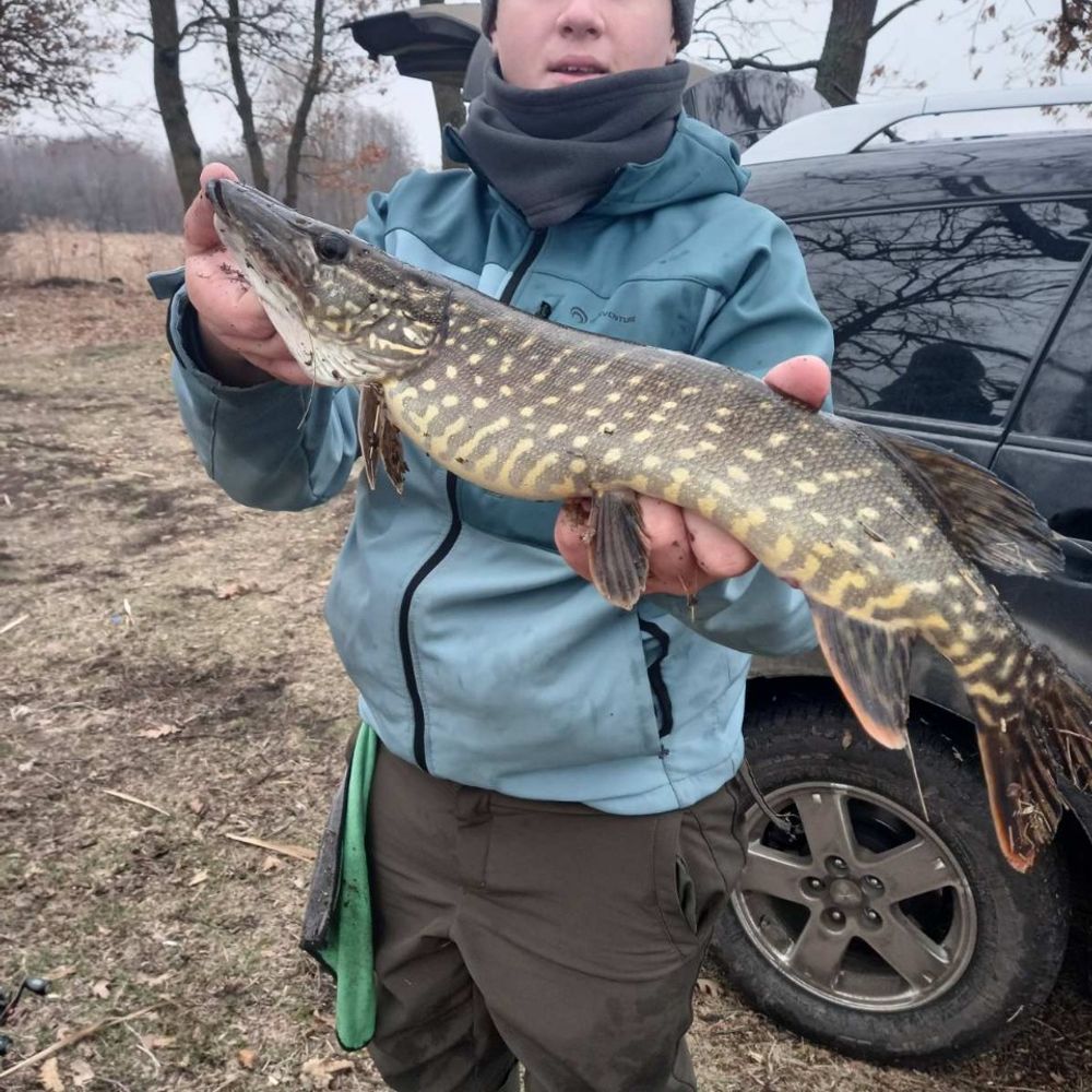 р.Берестова