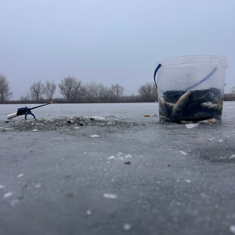 Попівка