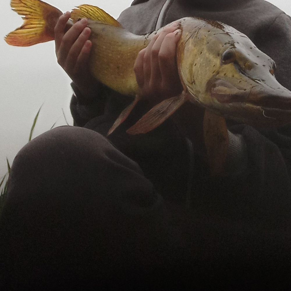 Ілля IL fishing