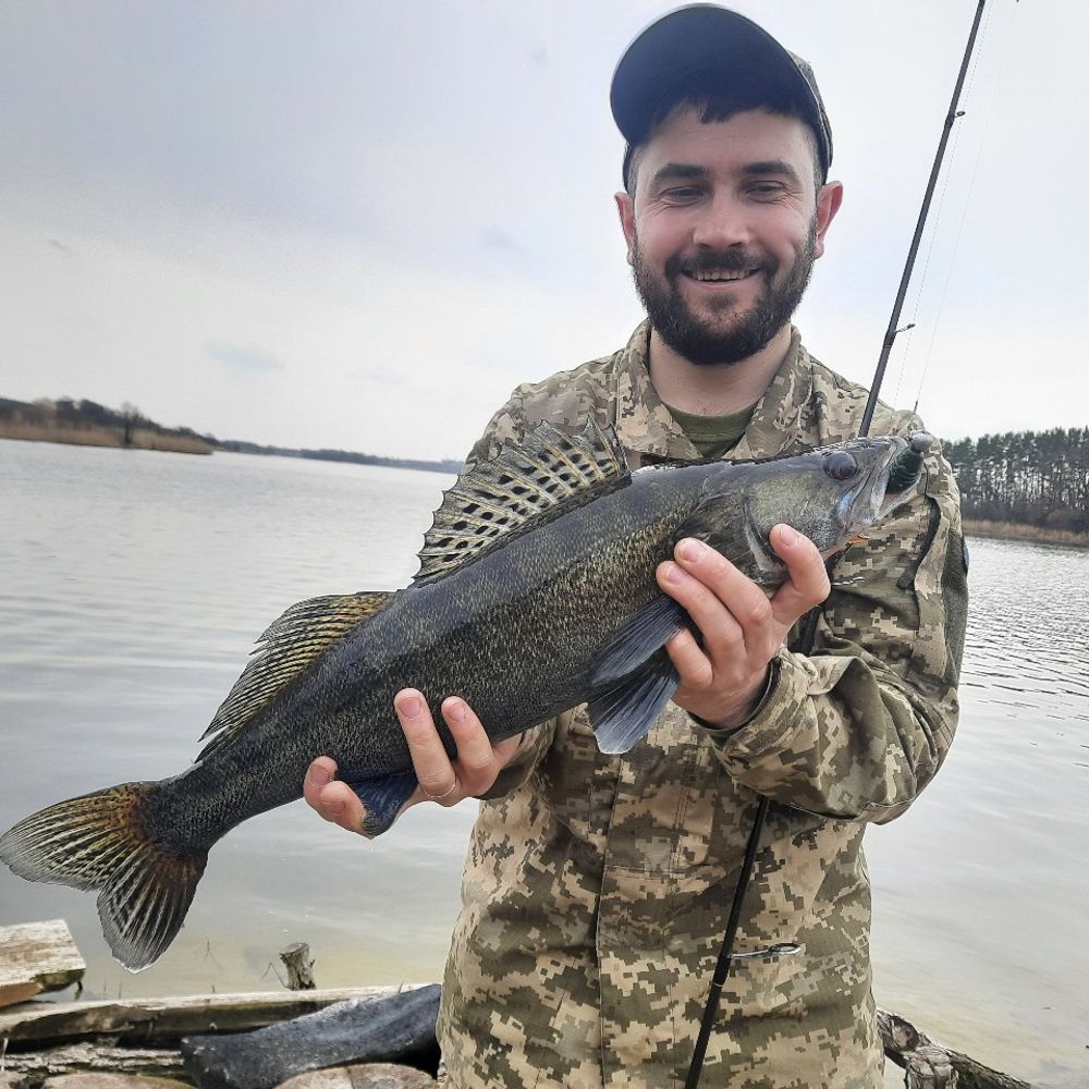 Гнилий Тікич 