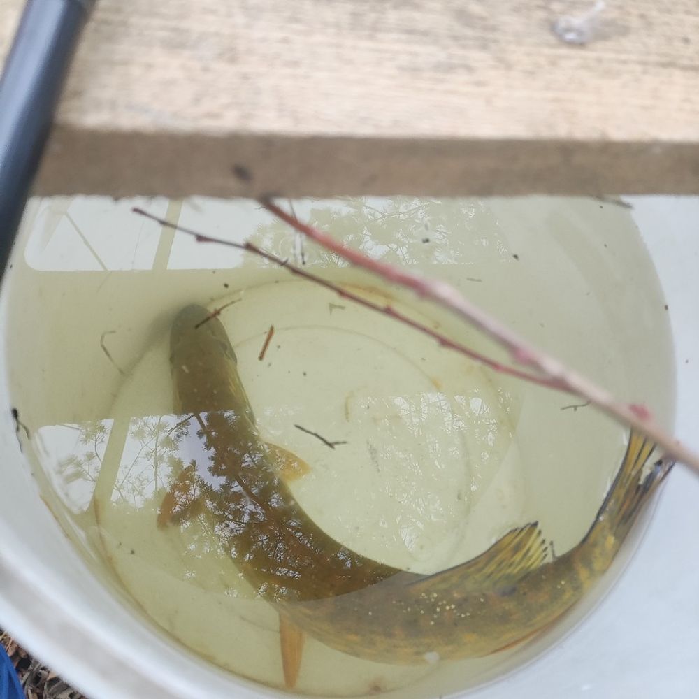 Завадівське водосховище