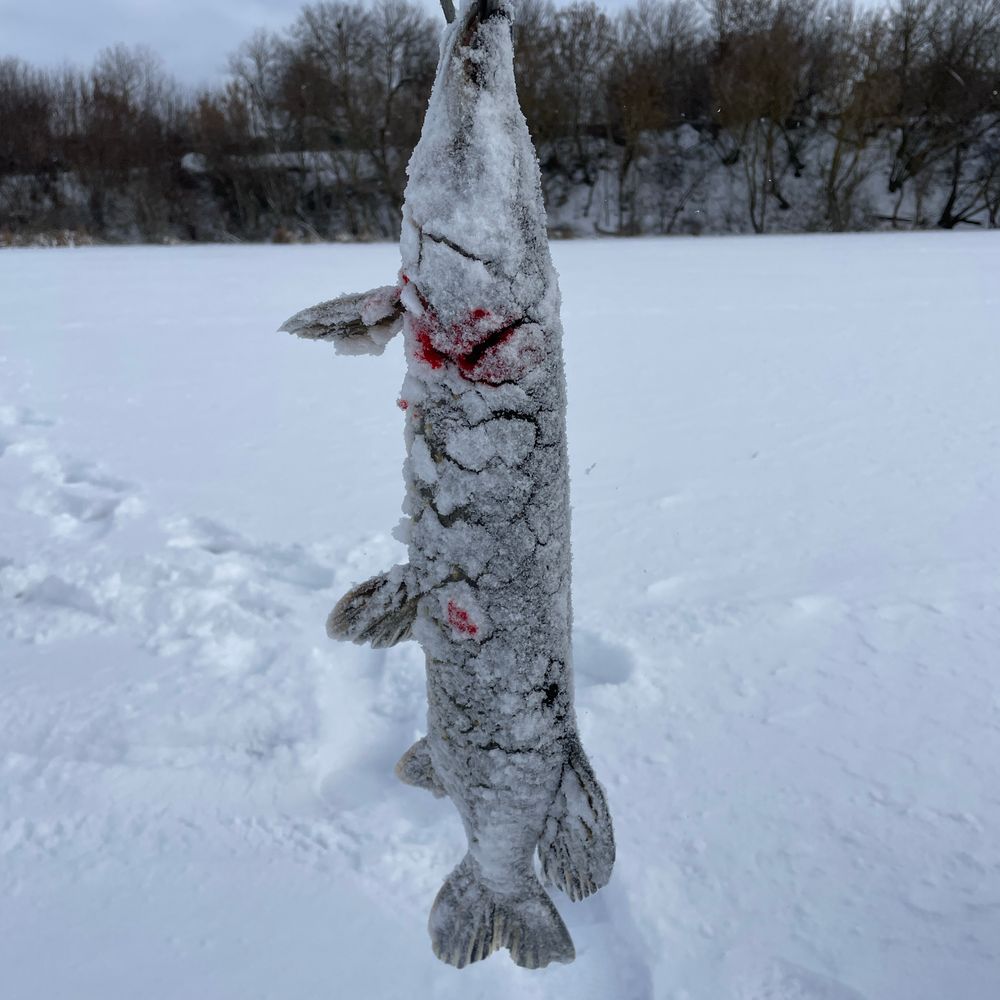 Загребельний 