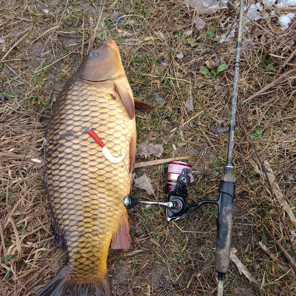 Річка
