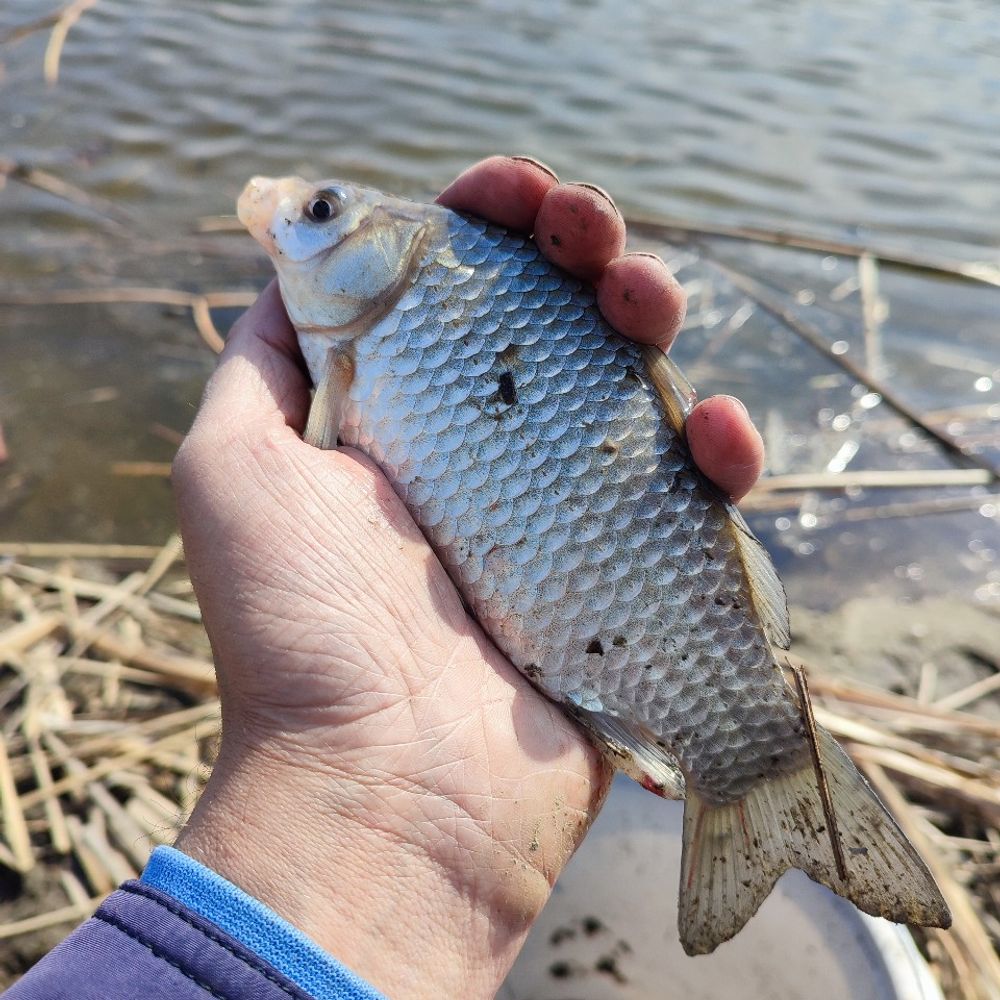 Річка Сула