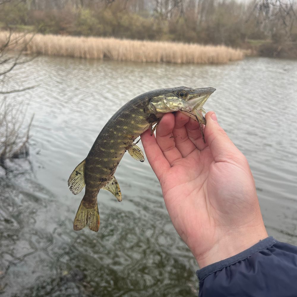 Вовчинецьке озеро