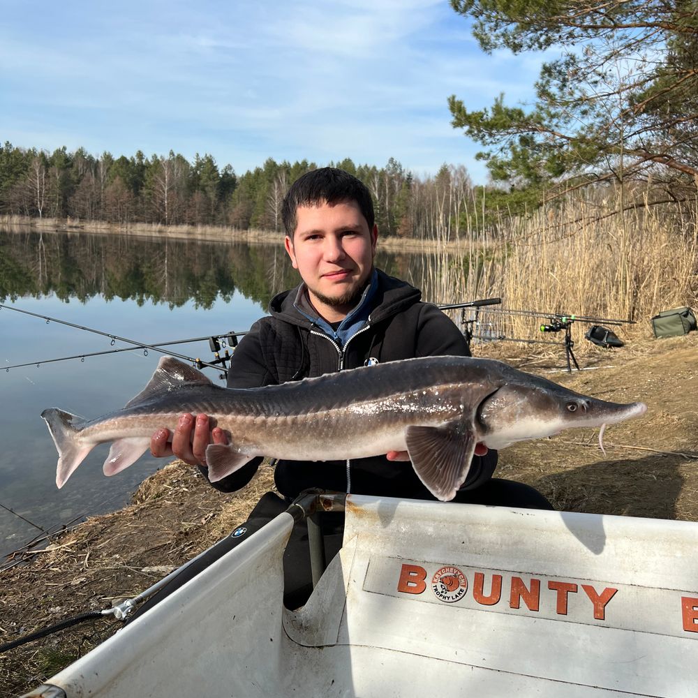 Баунті 