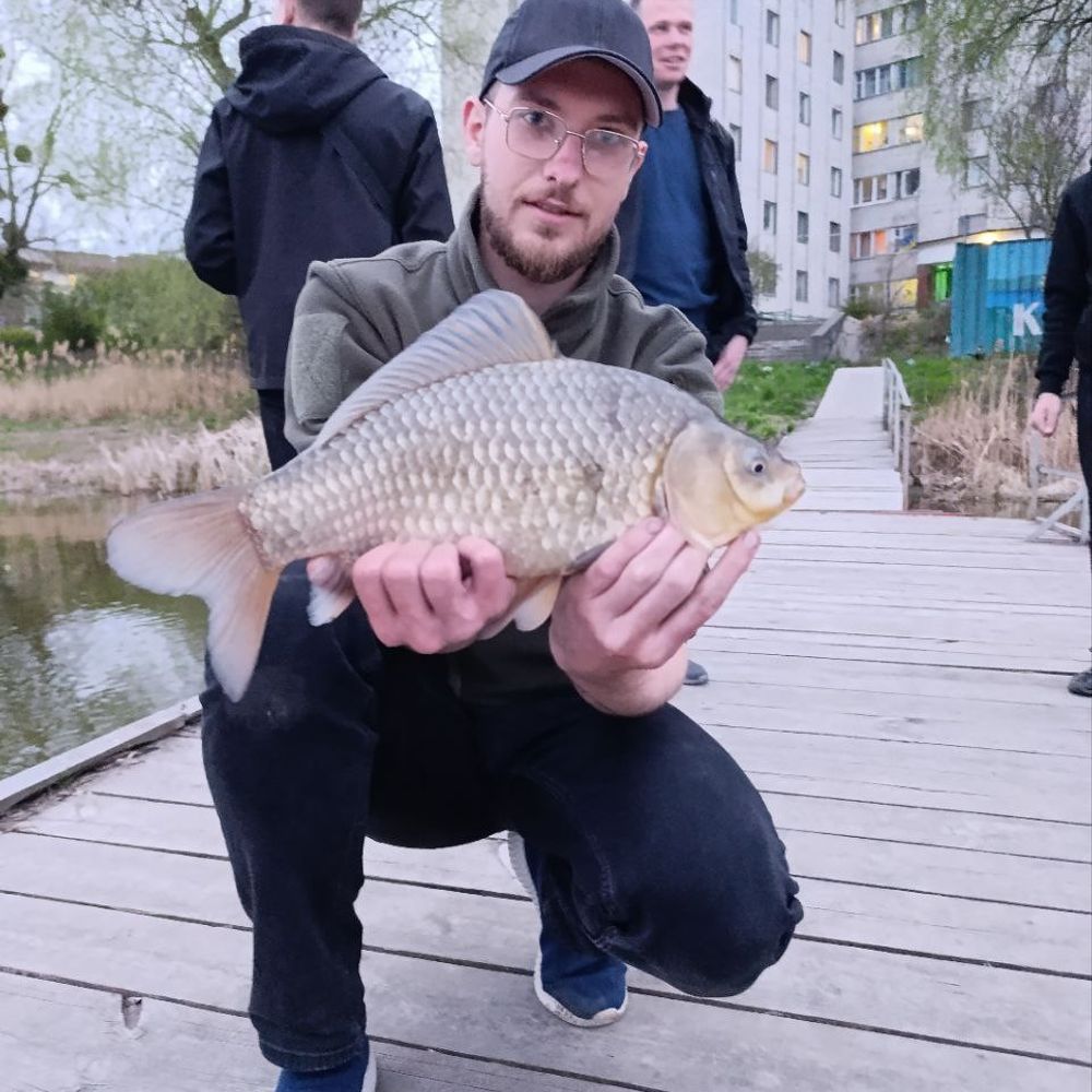 Лимарка