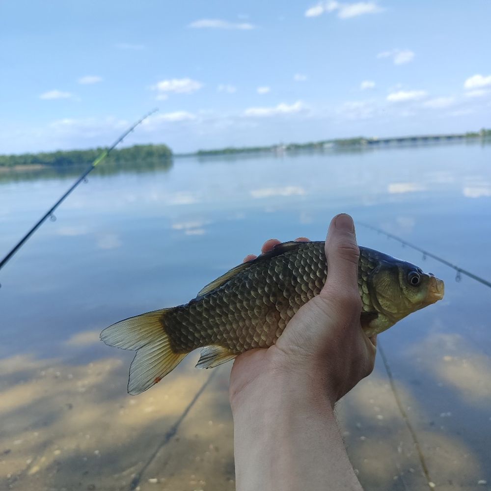 р. дніпро