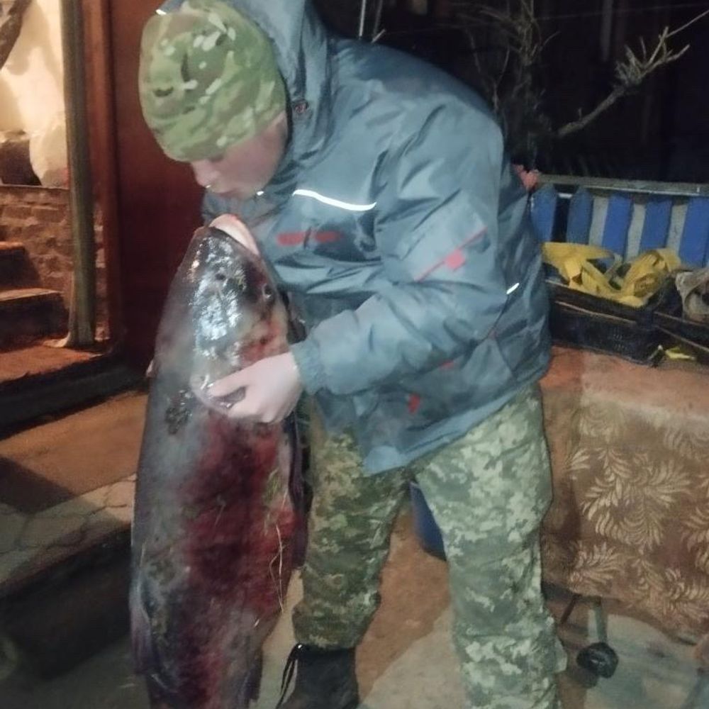 Гнило п‘ять.