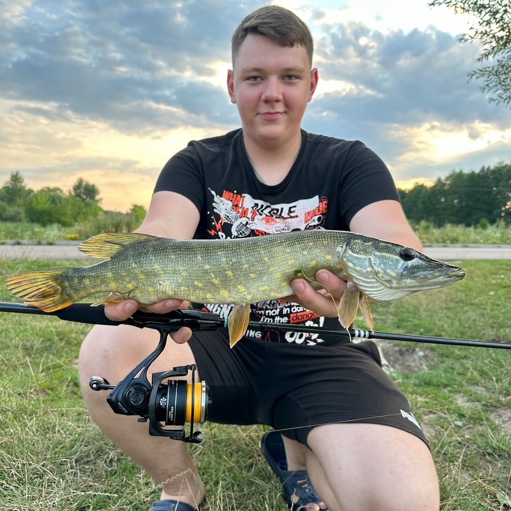 Щука 1,5 кг