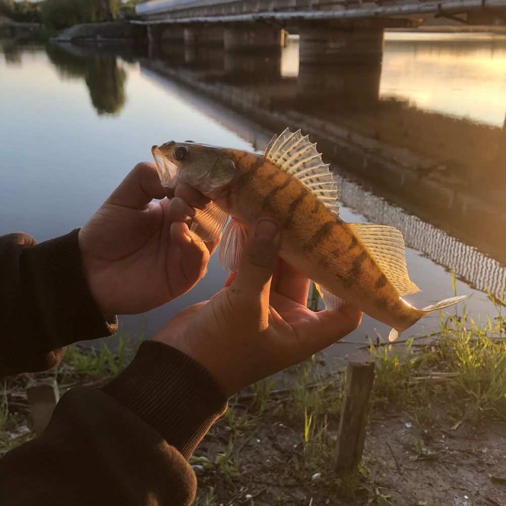 Інгулець 