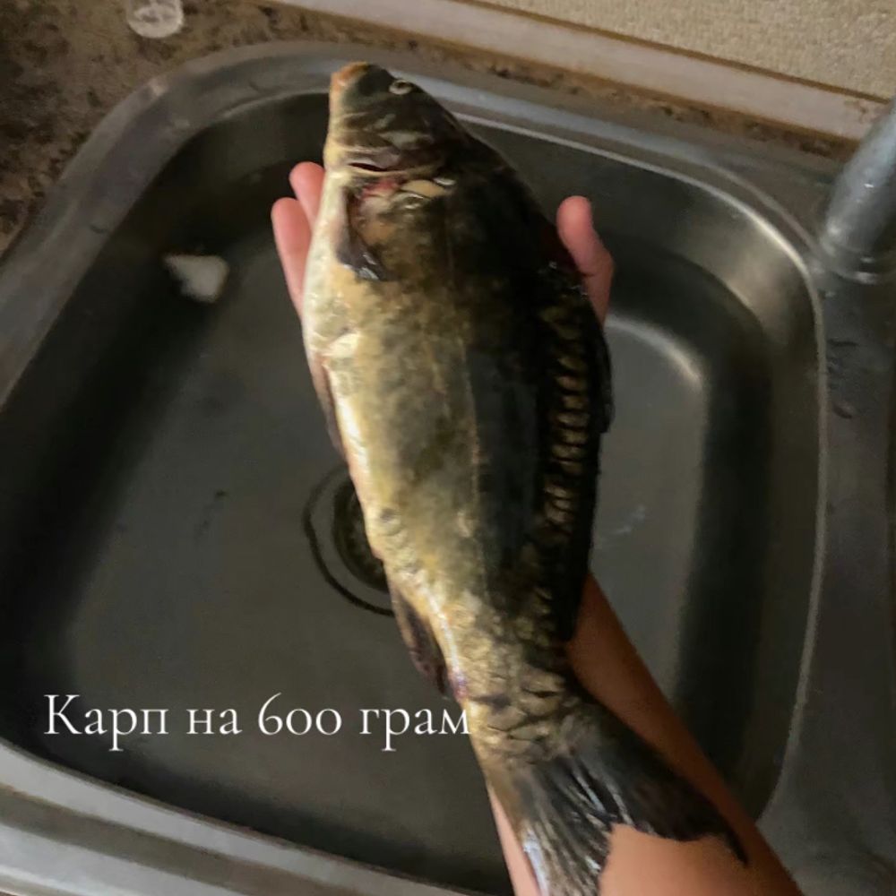 Озерний край 