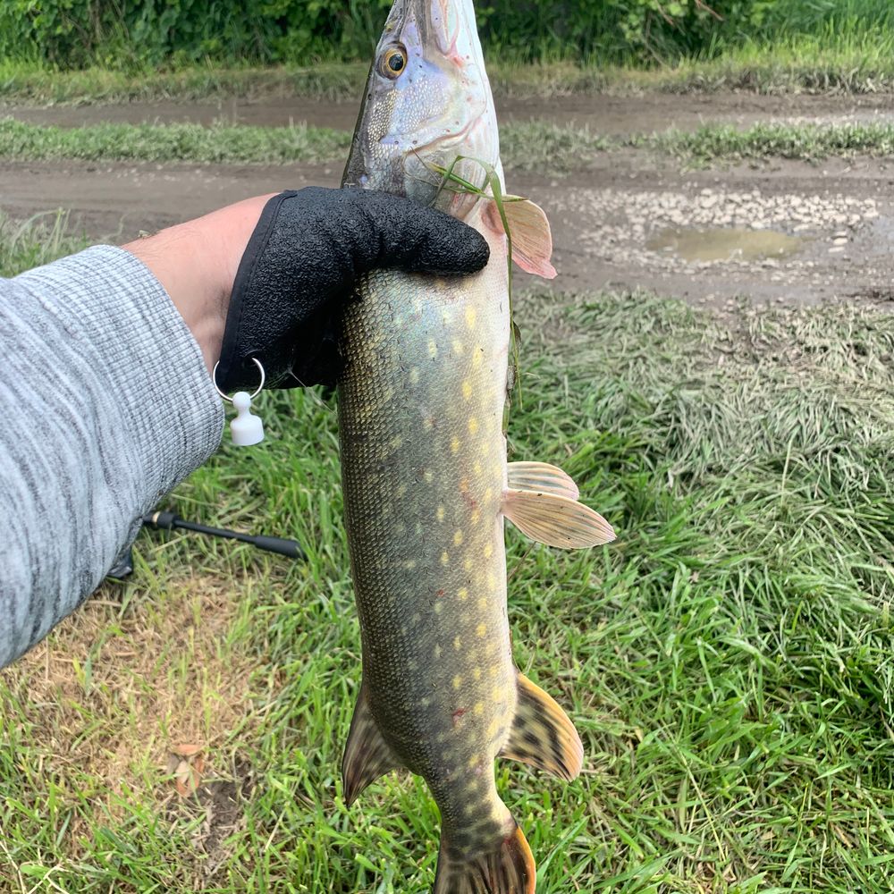 aquamarinefishingclub