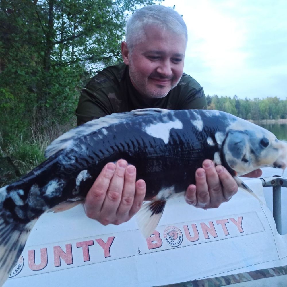Bounty