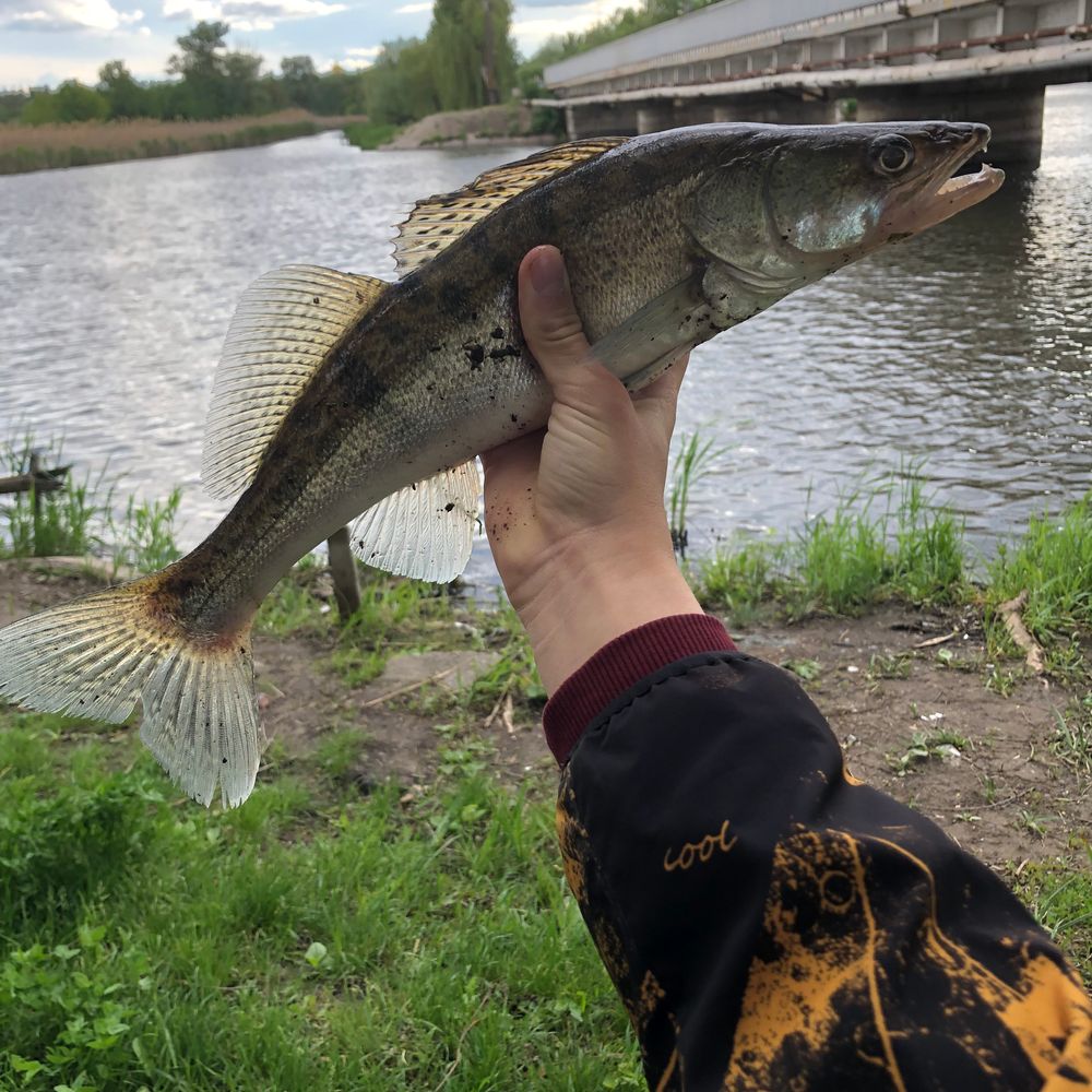 Інгулець 
