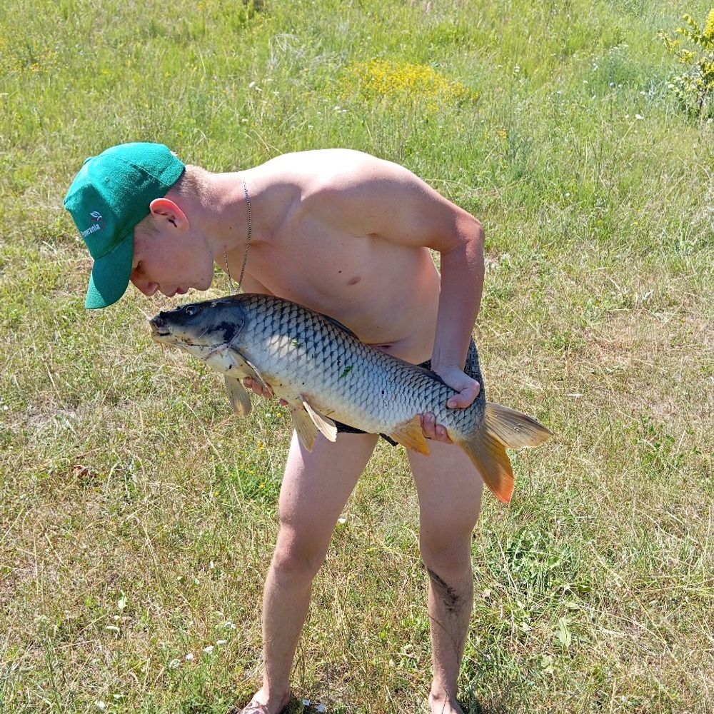 Сільський став 