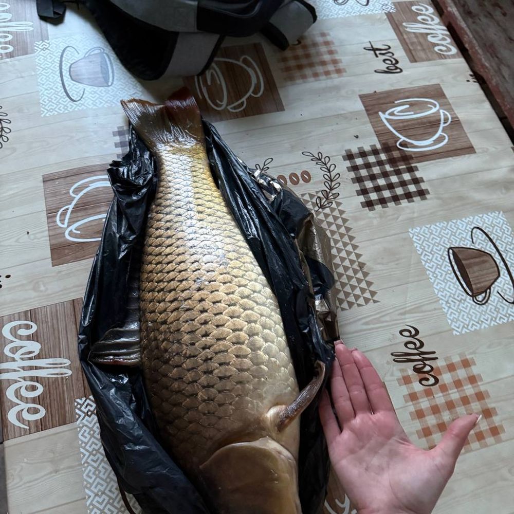 Гараджа