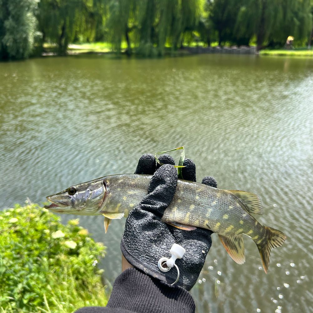Козацький острів