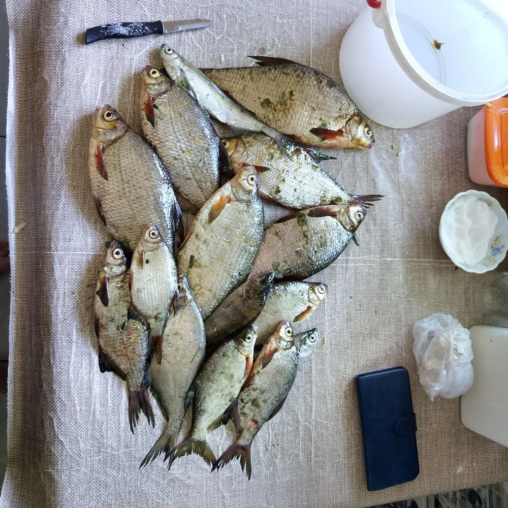 парк Наталка 