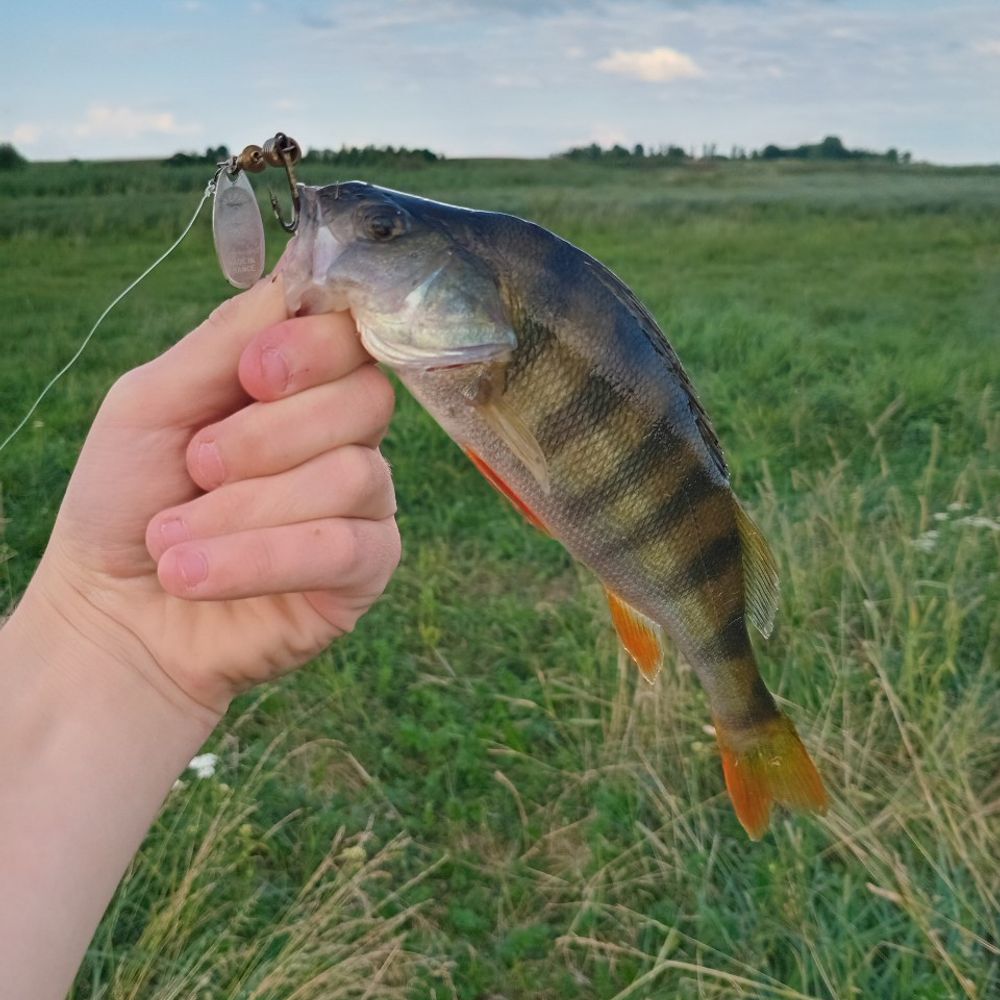 р.іква