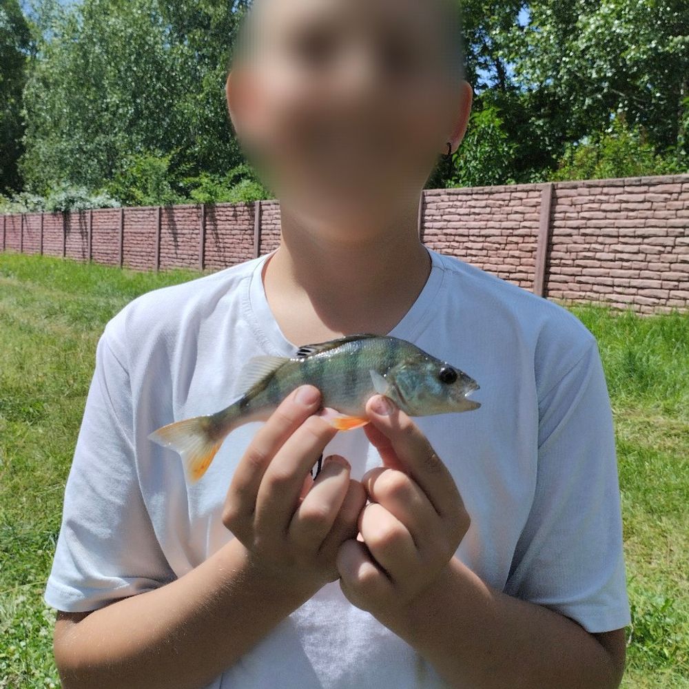 Водосховище корнин