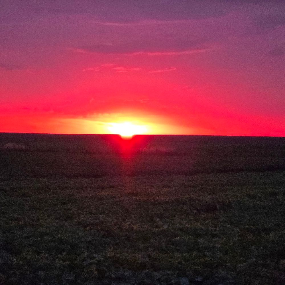Хрінники