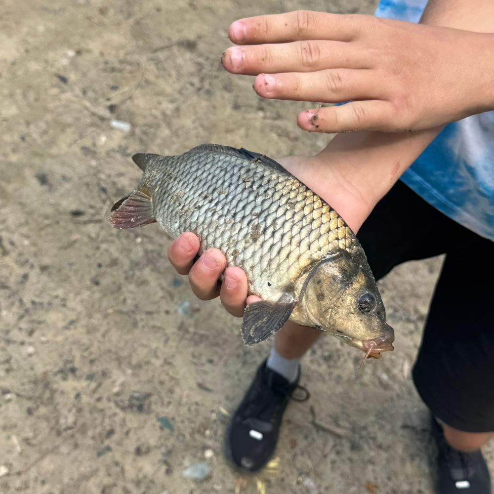 Піскові озера 
