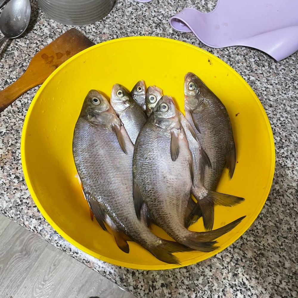 Дніпро