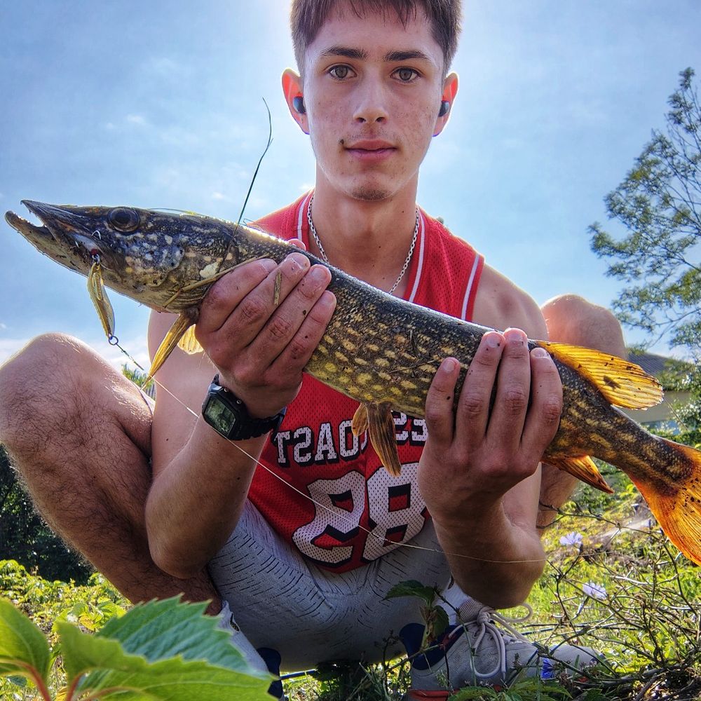 Pike