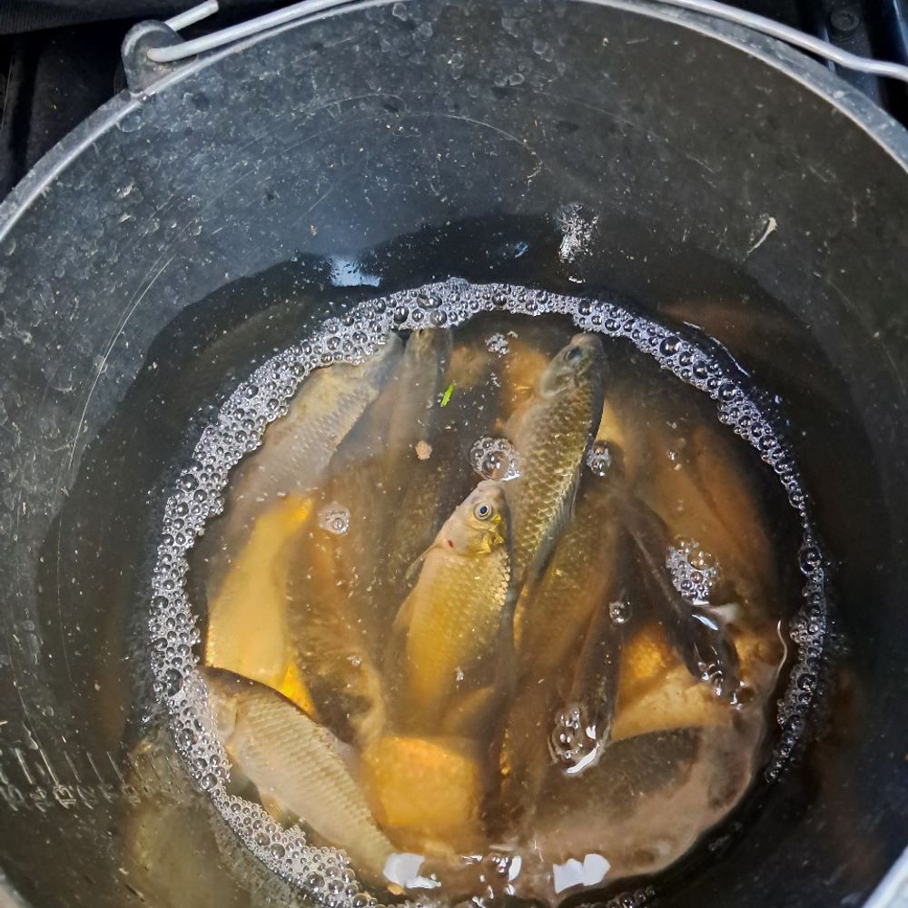 Михайлівський став 