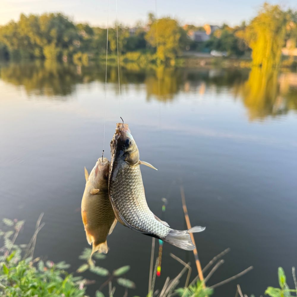 Лєзнєво